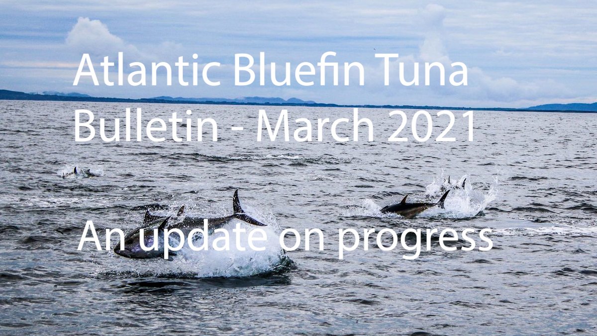 SWBoatAngling's tweet photo. Bluefin Tuna is still a hot topic and with a UK quota now all but secured here is Steve Murphy from Bluefin Tuna UK updating the details of what is and isn’t allowed....https://t.co/jt1qvLW1cP
#saltwaterboatangling #bluefintuna #biggamefishing #boatangling https://t.co/xHVbl5IQTu
