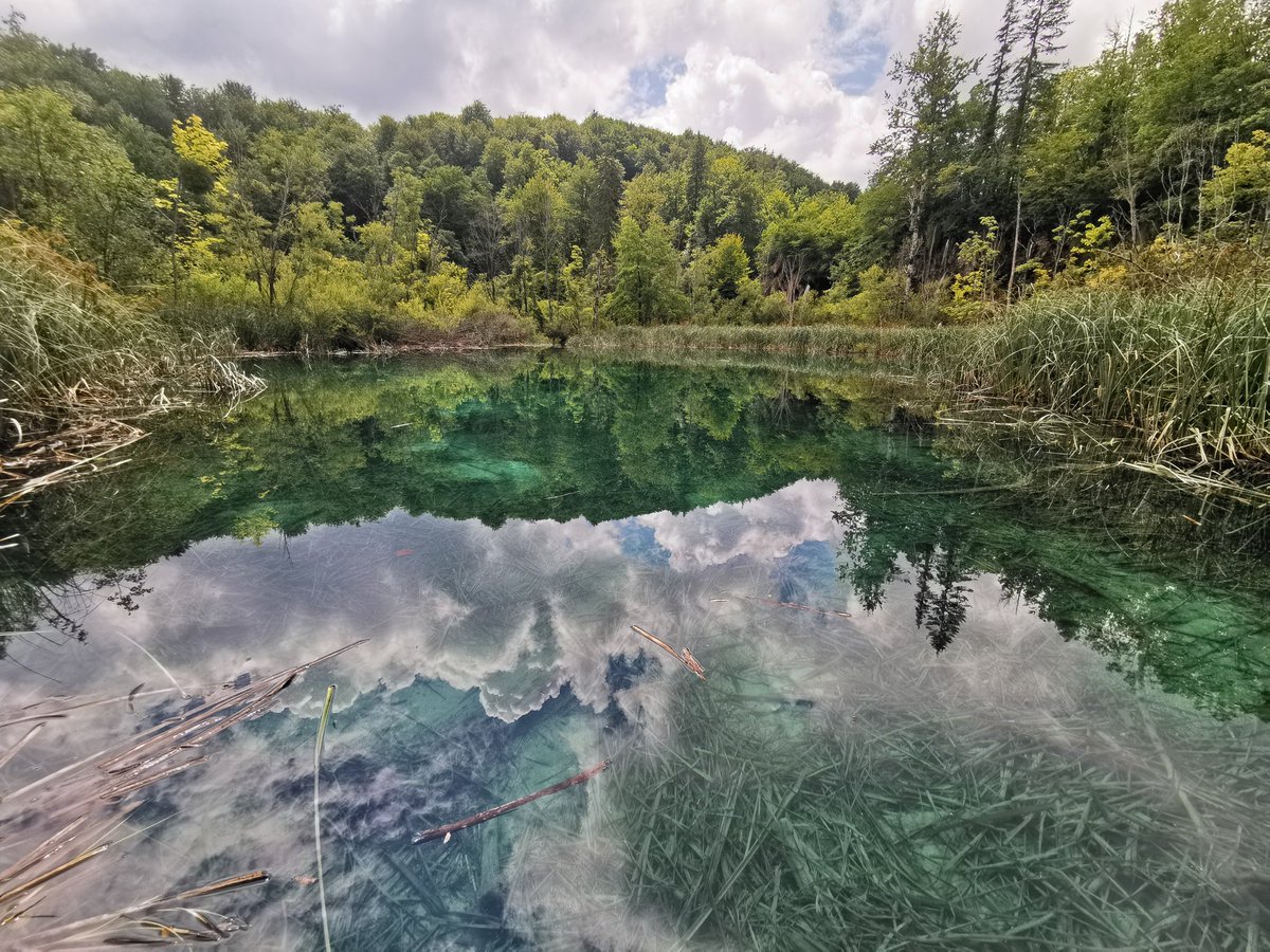nemanjanedic's tweet photo. @Casey Plitvice National Park in Croatia 🏞️ https://t.co/3xx50haPux