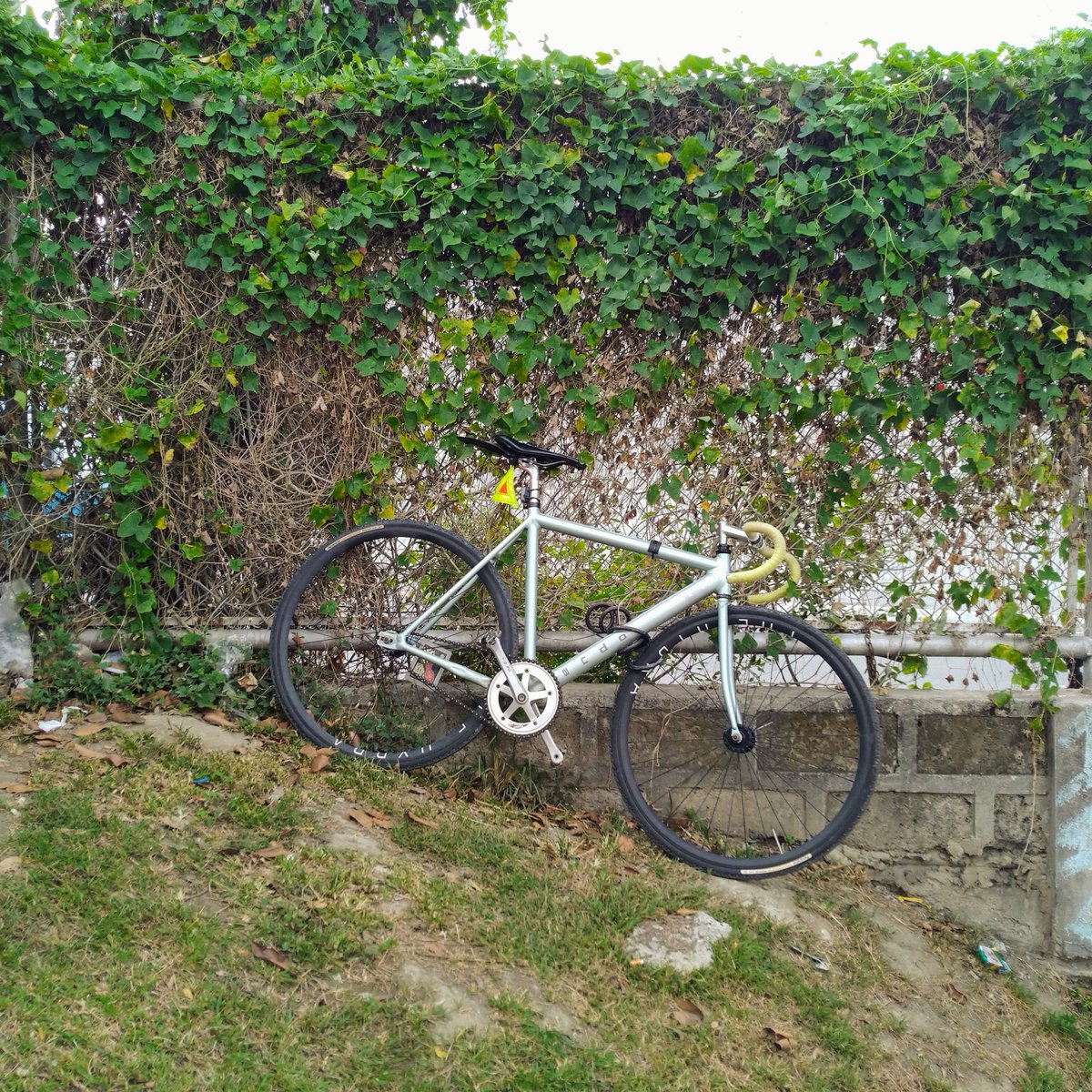 marcedig's tweet photo. fixed gear/track bike still my favorite mode of transportation 🙂
.
.
.
#fixedgear #trackbike #fixie #pista #lfg #lagunafixedgear #tracklocross #fxdcross #gravelkingsk #singlespeed #singlespeedcyclocross #bikecommuter #stillintotrackbikes #savethetrackbike https://t.co/dBCZmg99Bp