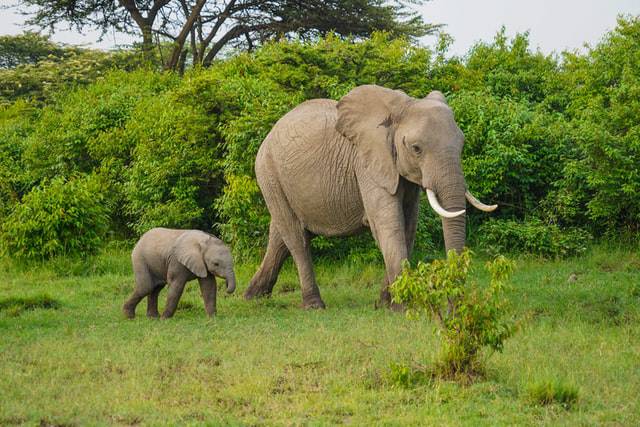 EnjoyZambia tweet picture