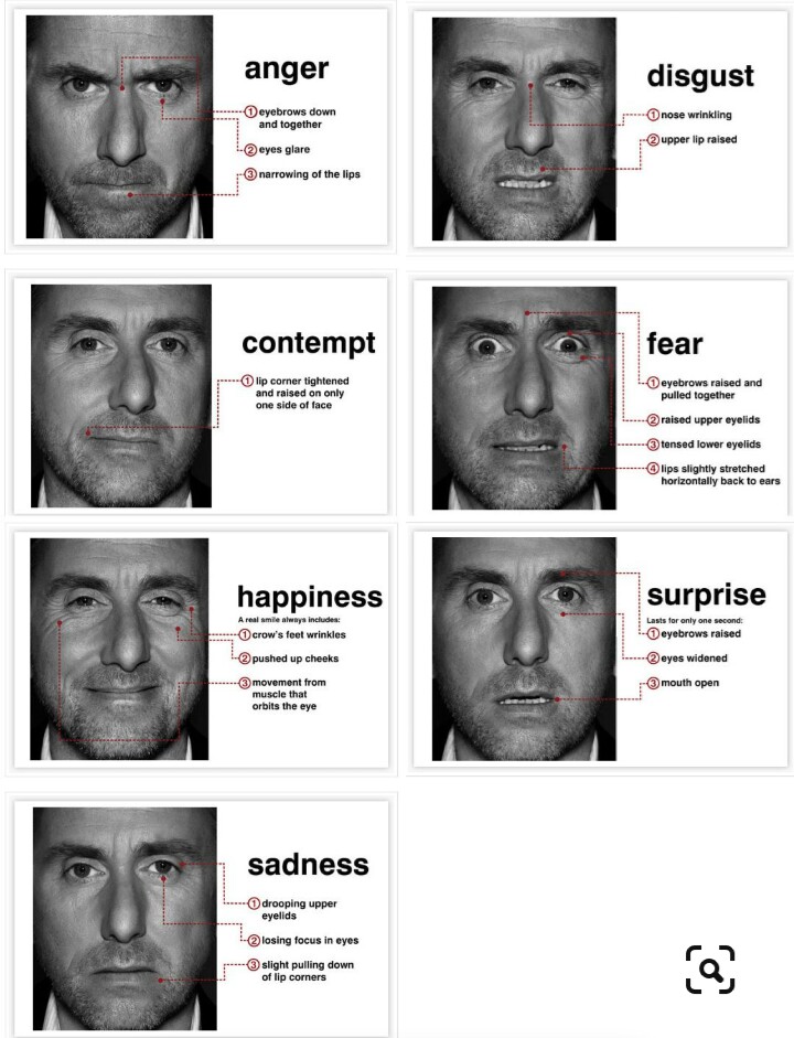 Facial Expressions And Emotions Chart