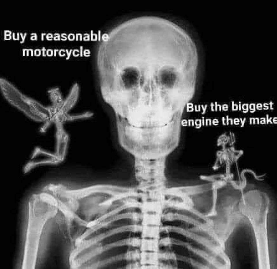 Of course I need 204 bhp to get to the shops 🤷‍♀️