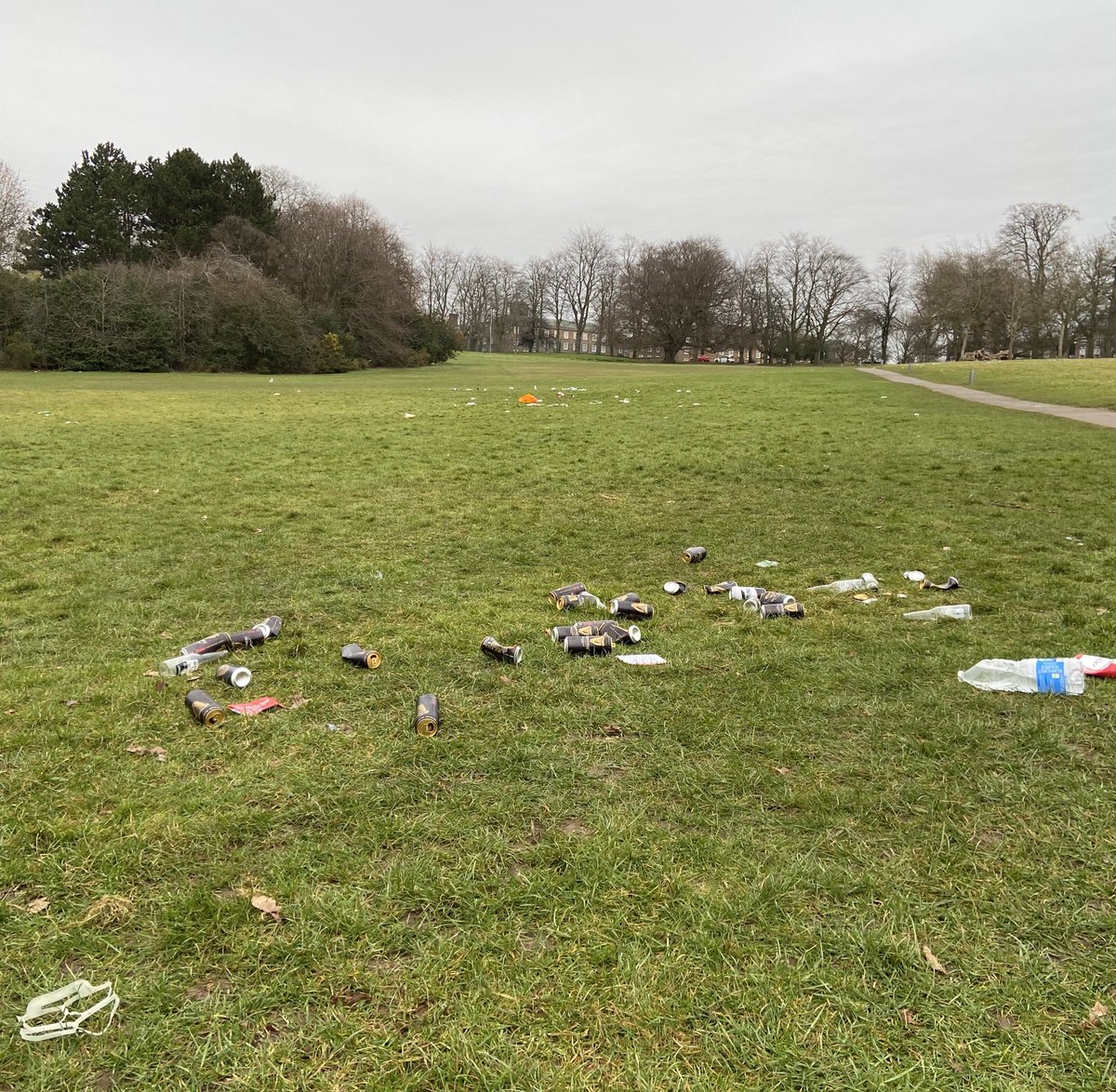 Reza Danesh-Azari tweet media