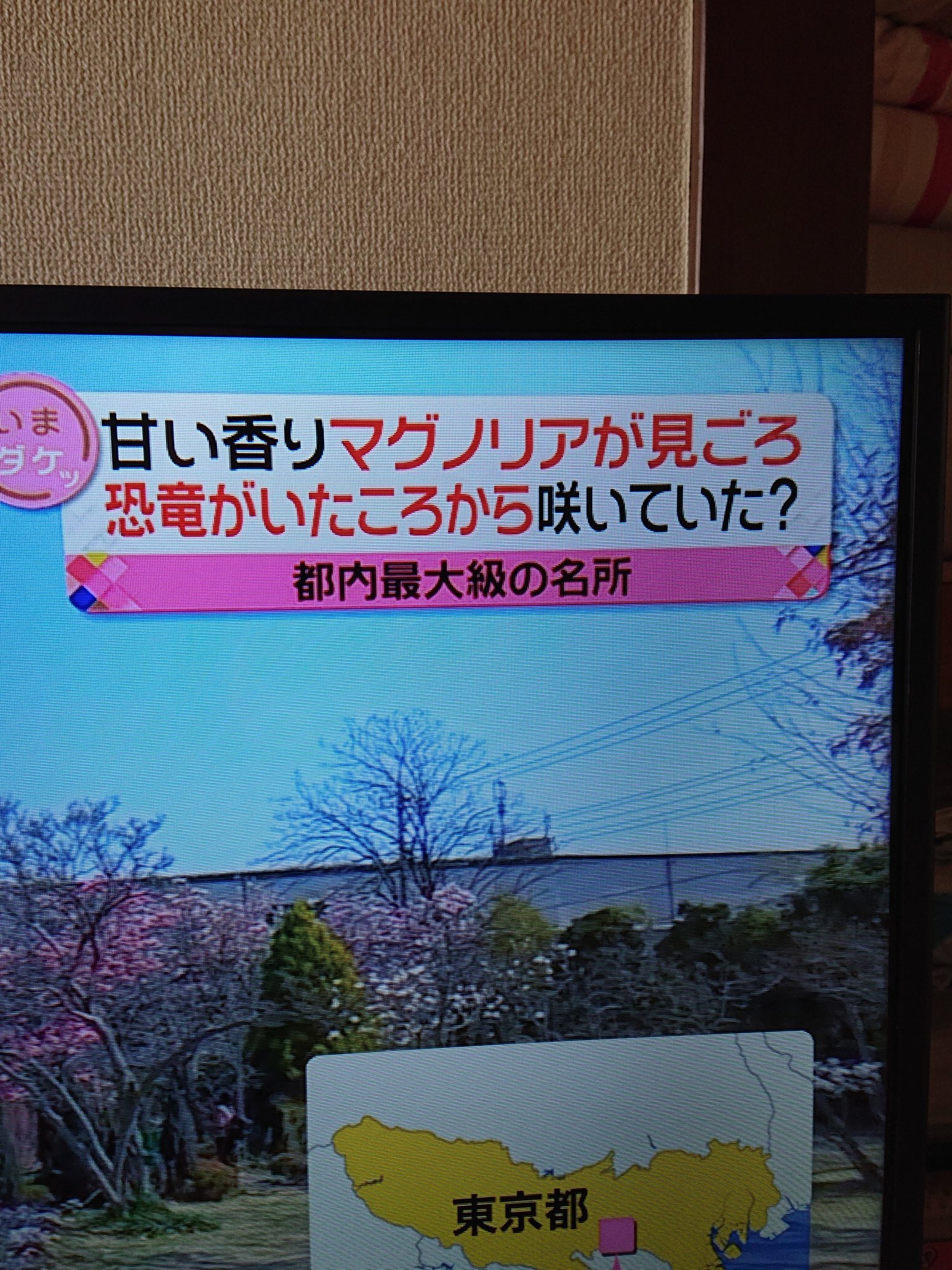 ﾚｯﾄﾊﾞﾄﾗｰ Twitter Search Twitter