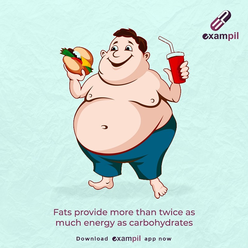 myexampil's tweet photo. A carbohydrate is a biomolecule consisting of carbon, hydrogen and oxygen atoms, usually with a hydrogen–oxygen atom ratio of 2:1
#Exampil #Neet #Neet2021 #Medico #mbbs #science #biology #chemistry #physics #neetpreparations #education #neetmotivation #neetug https://t.co/jpxNdSoEpM