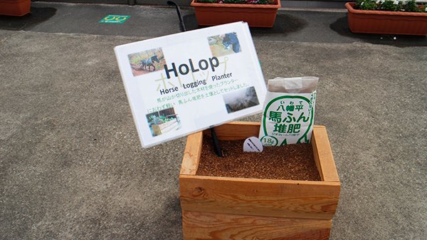 馬糞堆肥 Twitter Search Twitter