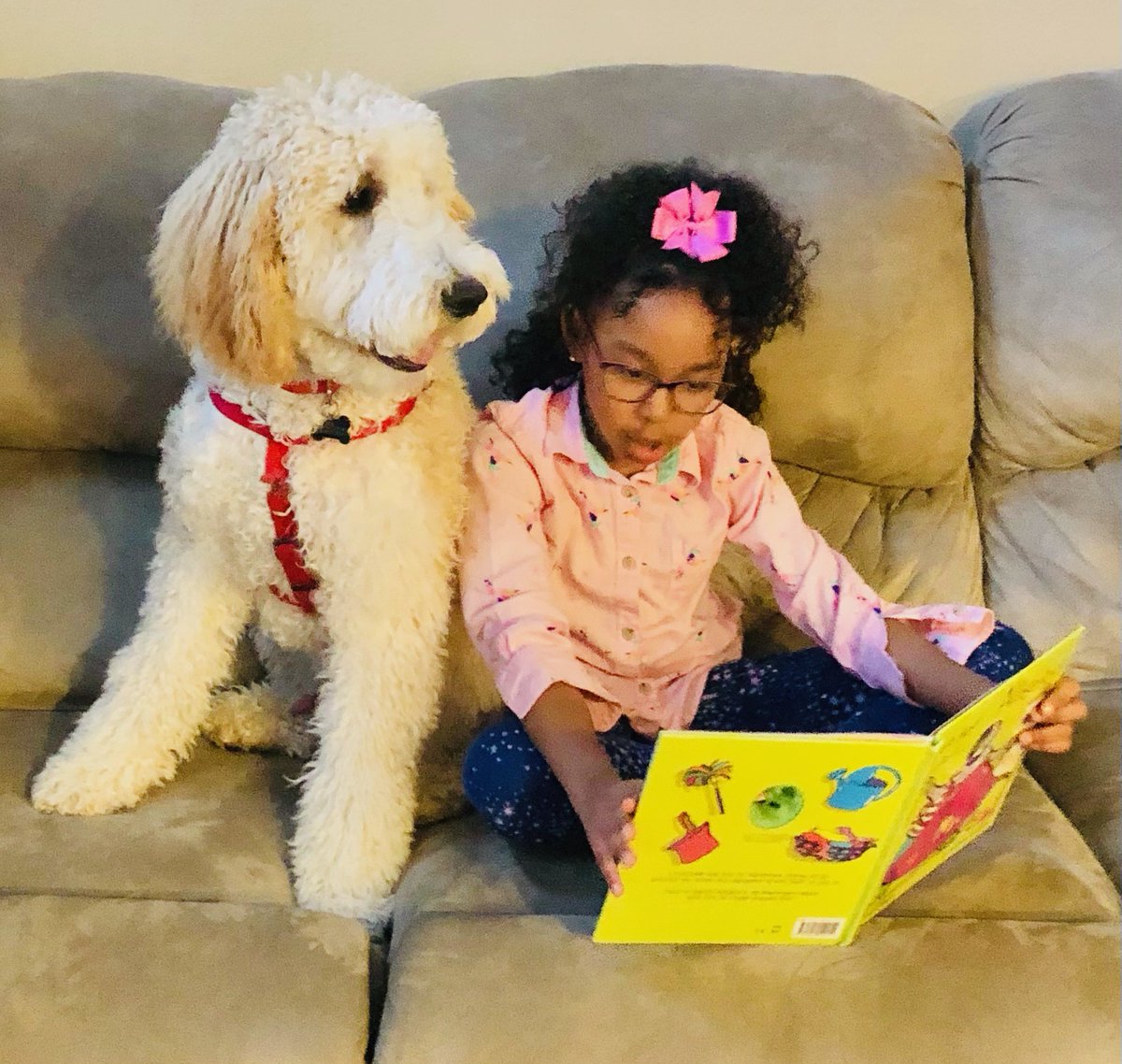 GuilfordAcademy's tweet image. Mariah W. reads to her pet for Read to Your Animal Day, part of GeVA&apos;s Rise Up and Read celebration. #GeVAReads #BetterTogether @GCSLibraryMedia