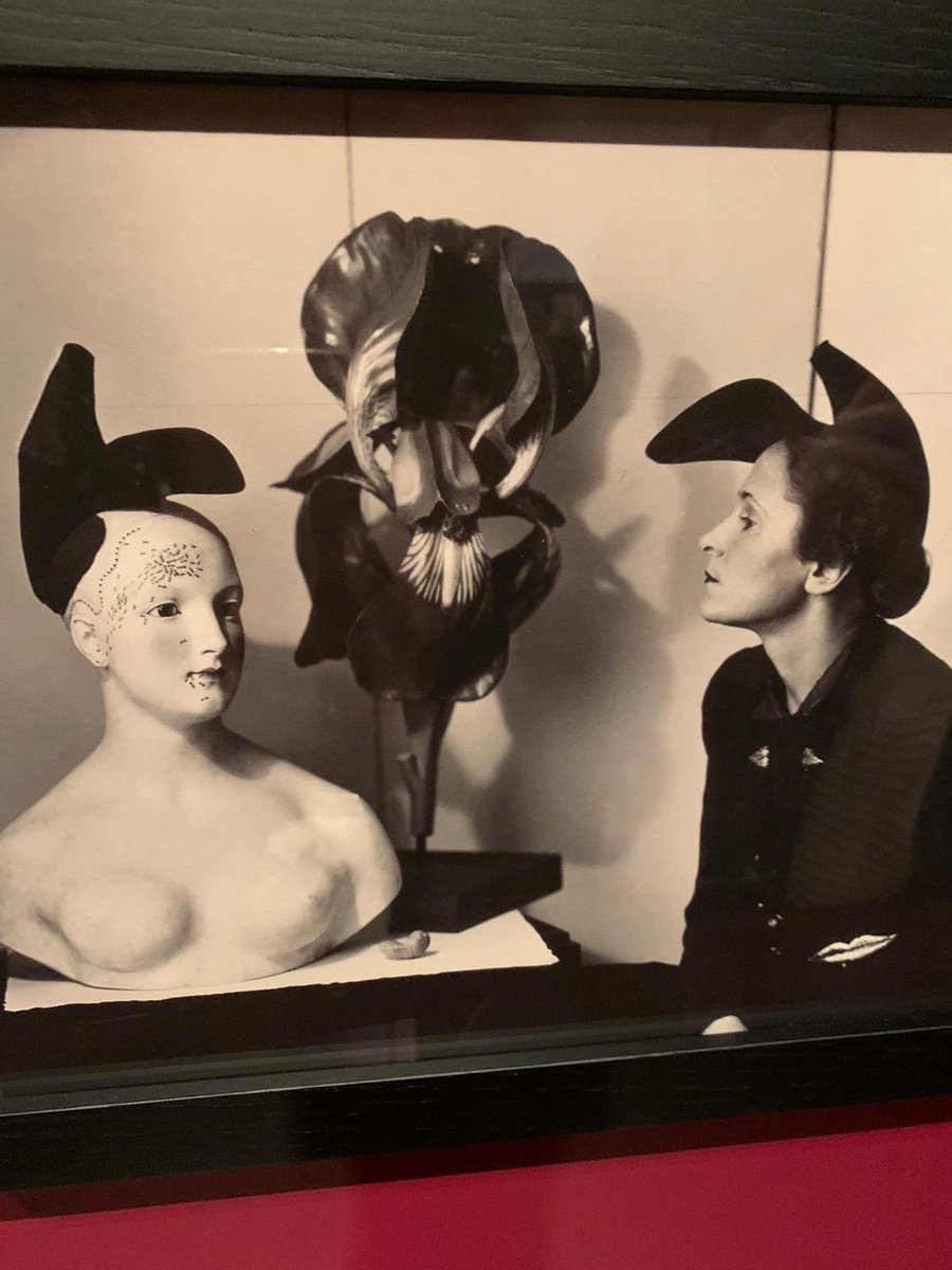 IES Julio Palacios tweet media