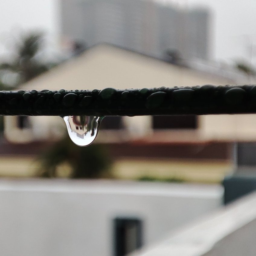 S_Vigneswaran's tweet photo. A liquid drop acts as a simple lens, like a camera lens, so the refracted image is upside-down when viewed through the drop.
#mobilegraphymy
#mobilephotography #RedmiNote10Pro
#nature #Physics #science https://t.co/5MWLhiAAQb