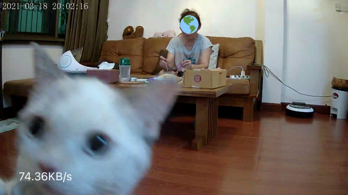 บีมกับน้องๆ tweet media