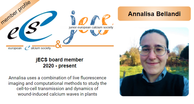 EuroCalcium's tweet photo. Introducing ECS member Annalisa Bellandi @Annalisa_Be: ECS junior board member! #ECSmemberprofile #jECSboard
For more information about Annalisa’s research at John Innes Centre, UK @JohnInnesCentre: https://t.co/5qfCSNDWDY https://t.co/X9mxXWYnRe
