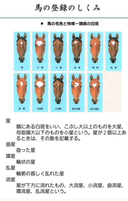 馬の顔のtwitterイラスト検索結果 馬の顔のtwitterイラスト検索結果