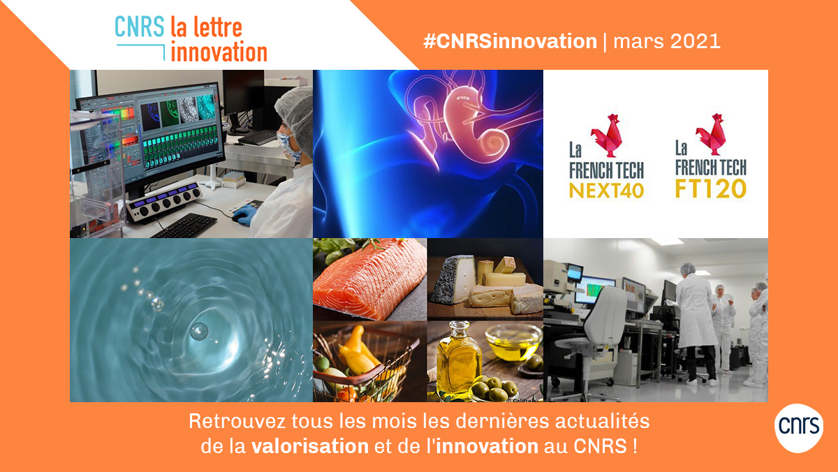 CNRS's tweet image. #CNRSinnovation 💡 | La lettre innovation du @CNRS du mois de mars 2021 est sortie ! Partenariats, entreprises, brevets, licences, stratégie... Retrouvez tous les mois les dernières actualités de la #valorisation et de l'#innovation au CNRS.

➡️ cnrs.fr/cnrsinnovation…