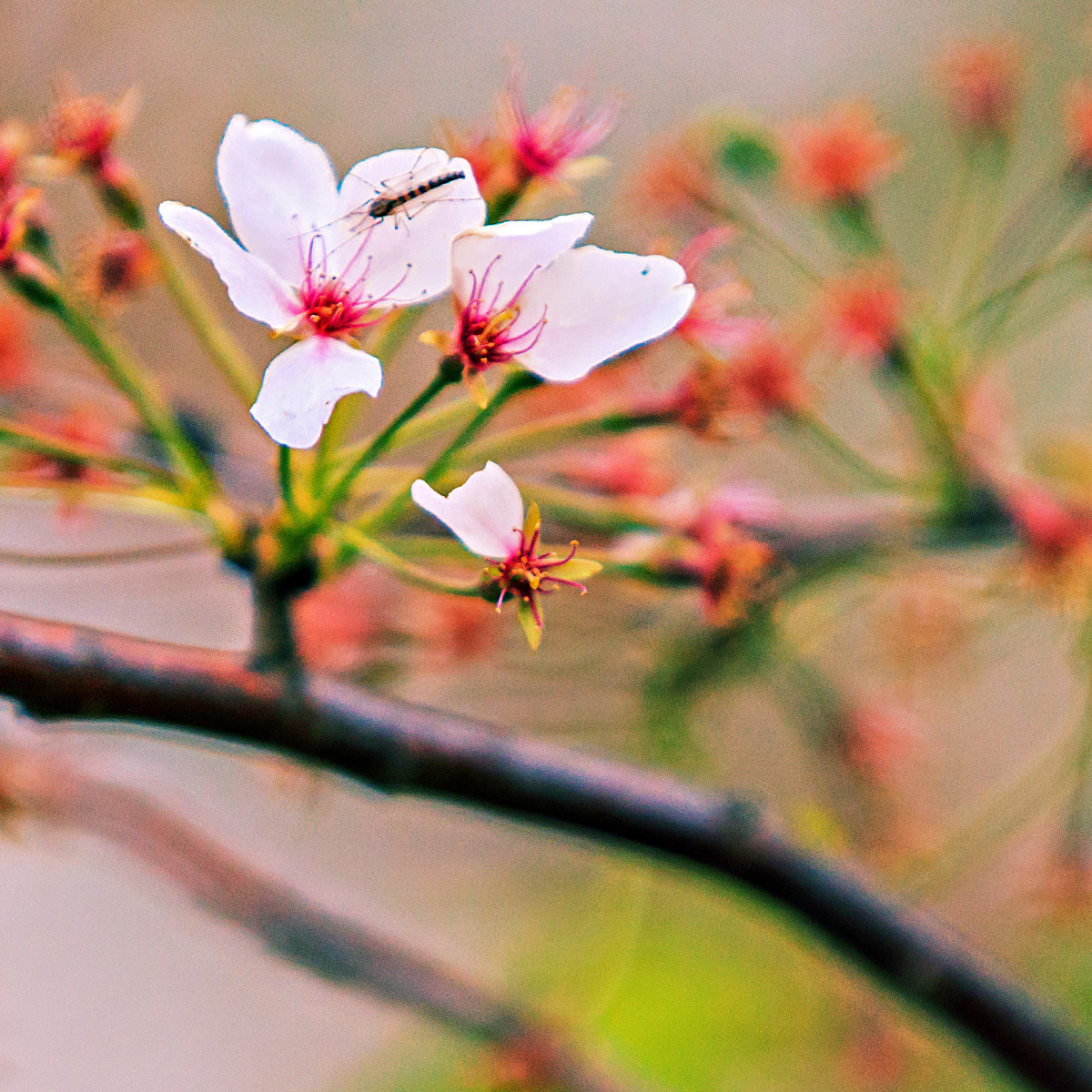 The March Equinox is just around the corner. With a little more light in your day, it may be time to reflect on life. If you‚ would like to review your policy or set up a new one, I'm here to chat.