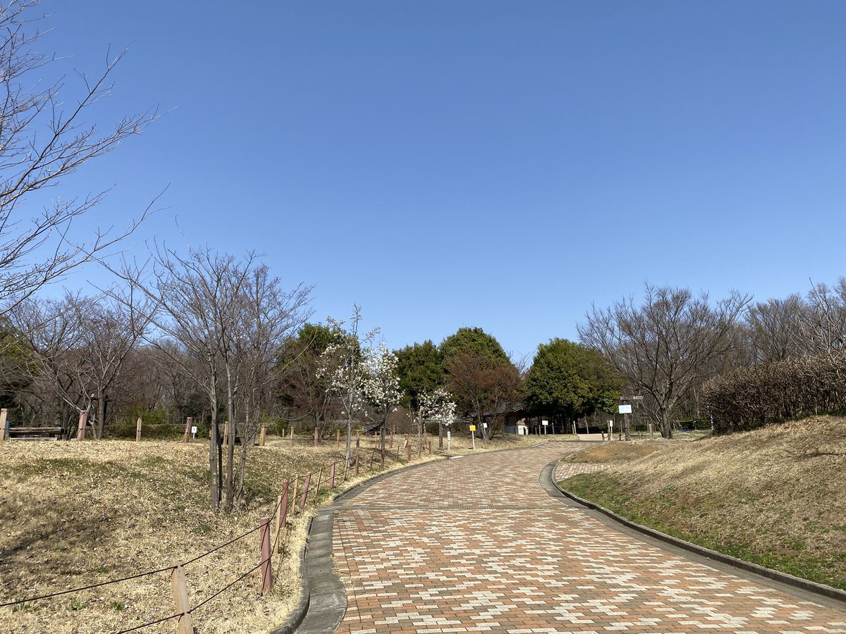 ビビりの青いの 所沢カルチャーパークがどんなキャンプ場なのか見てきました かなりキレイに整備されてて トイレも水洗だし炊事場 もありました ただ利用期間がやや特殊 デイキャンプは夏休み期間を除く4月 11月 泊まりは夏休み期間のみ 河原はない