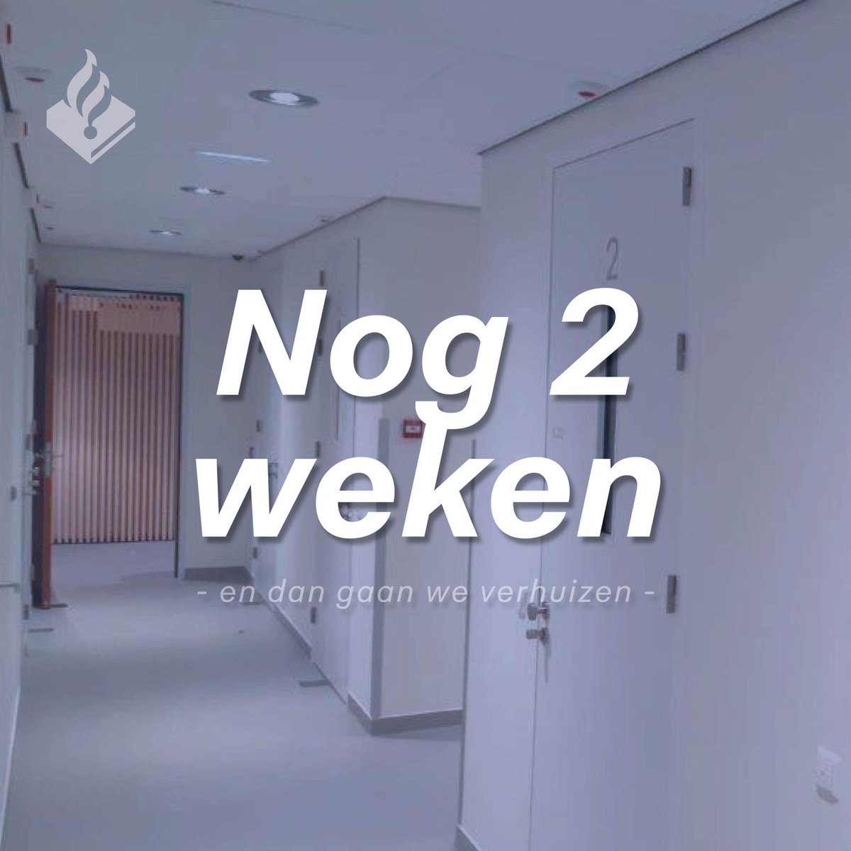 Wij gaan verhuizen! 
#polbrd