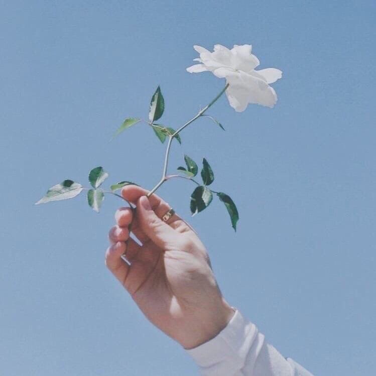 loving you 
is the most natural feeling