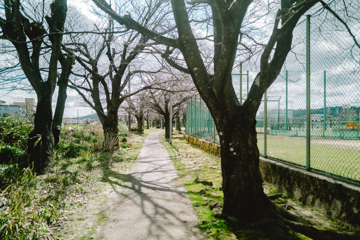 RS21155's tweet photo. 冬と春の間 https://t.co/AJI6y0lTq3