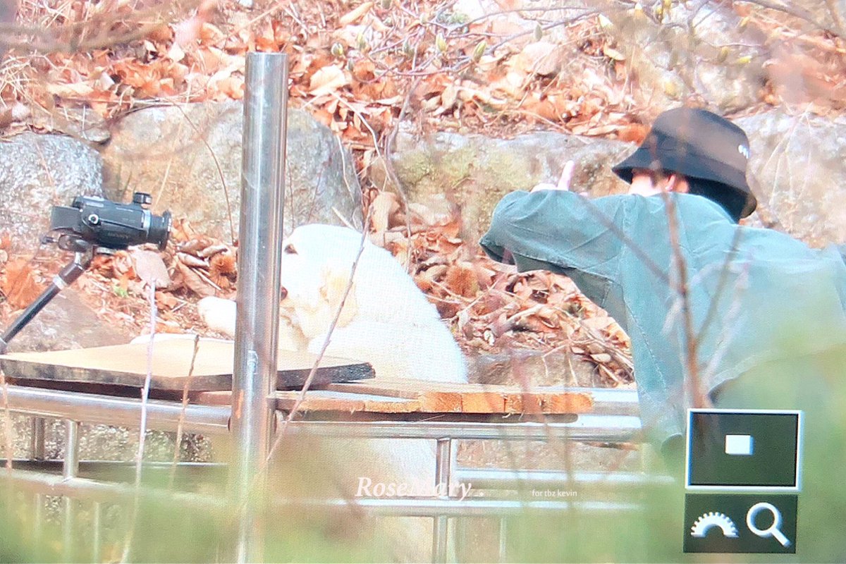 RoseMary. tweet media