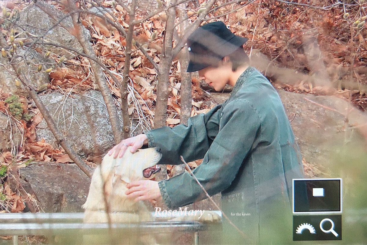 RoseMary. tweet media