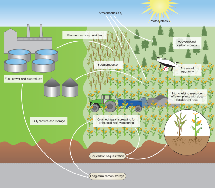 lc3m_cdr's tweet image. Innovative agricultural technologies could help meet food security and climate change emergencies. 
Full article 👉 rdcu.be/cgV7J
@SpringerNature @NaturePlants 
@SheffieldMBB @LongLab @aberdeenuni 
@GlobalFoodLeeds @Sheffunisustain 
#LC3M #ClimateChange @LeverhulmeTrust