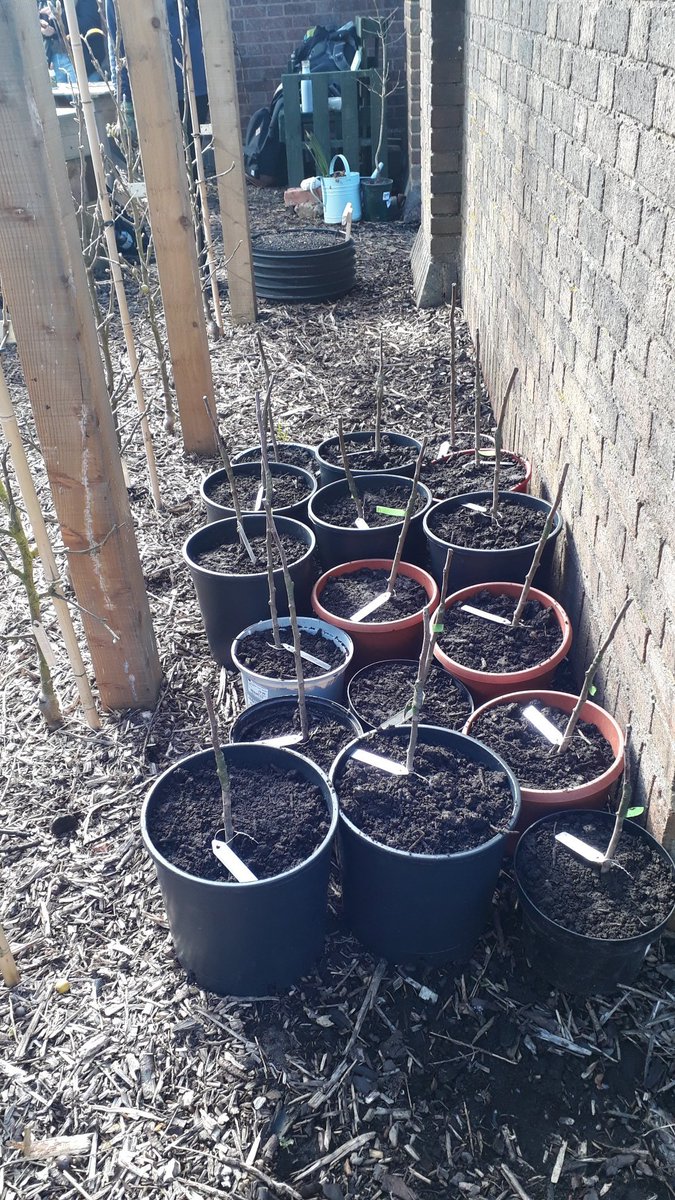 Let's Grow Together tweet media