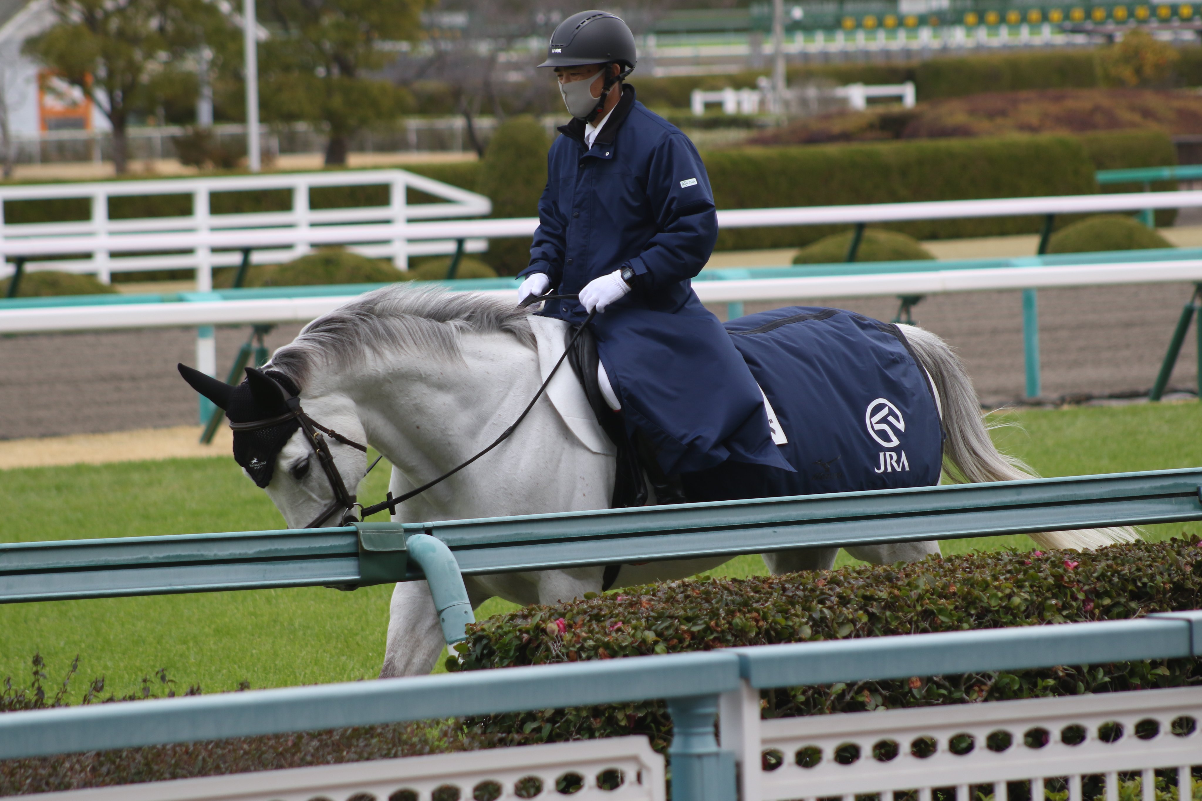 関西誘導馬ふぁんさーくる 21年3月13日阪神競馬場 午後からのお仕事へ向かう誘導馬レンイングランド 誘導馬 レンイングランド 阪神競馬場 T Co Ztfwit3itz Twitter