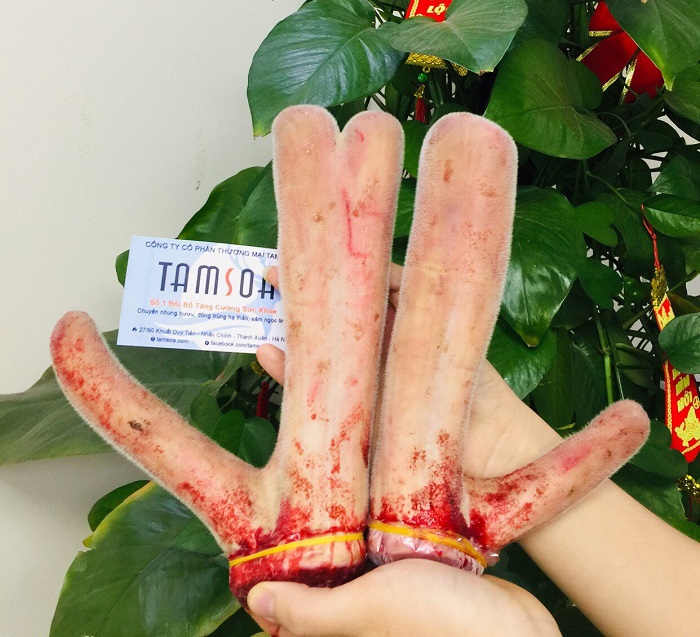 HuouTamsoa's tweet photo. Tác dụng của nhung hươu đối với những người luyện tập thể thao.
=> Chi tiết mời các bạn tham khảo tại đây: https://t.co/QB4pY5k5JN https://t.co/Q9z4bIlxqw
