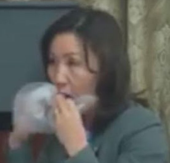 Оюунчимэг бол үнэхээр хоосон толгойтой авгай л даа. Боловсрол гээд байх юмгүй. Ёс зүй ярих ч юм биш. Гэхдээ 20к төгрөгийг нь аваад сонгосон Чингэлтэйхэн бол илүү харанхуй малнууд шүү.