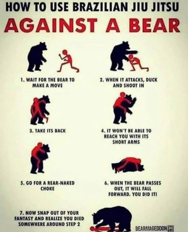 StrictlyFighter's tweet photo. How to defend yourself against a bear using BJJ. #realshit #strictlyfighters #mixedmartialarts #martialarts #mma #fighters #fighting #bear #bears #bearfighting #brazilianjiujitsu #jiujitsu #bjj #rearnakedchoke #gentleart https://t.co/QfaG73HvYp
