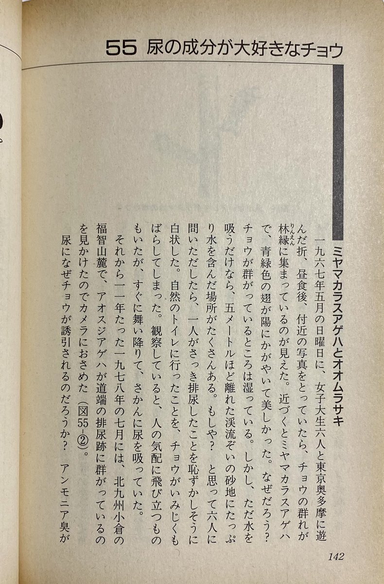 kiyaoshikko's tweet photo. 前垢

1967年に奥多摩で遊んだ女子大生の放尿跡に群れた蝶を観察したという昆虫学者の記事。 https://t.co/zjsBm7M0hS