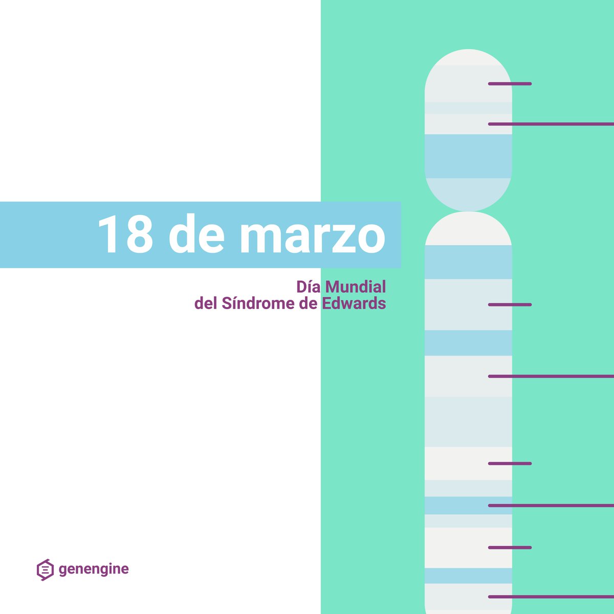 genengine tweet media