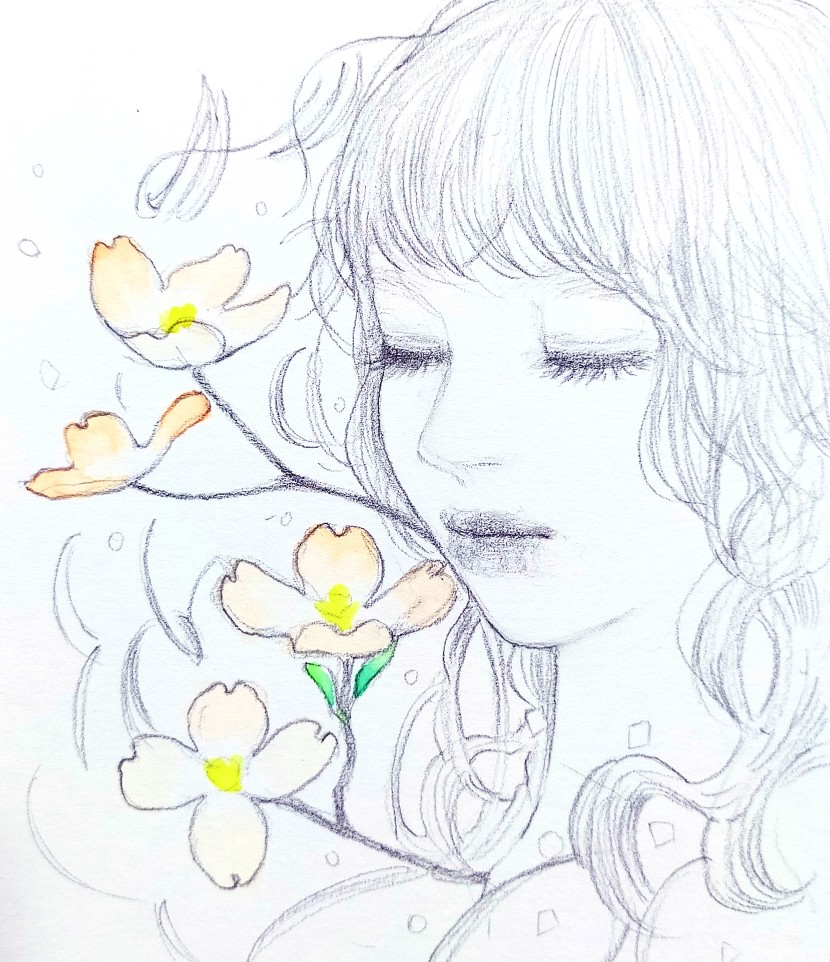 ｍｍｎｏｏｏ V Twitter 3月18日のイラスト 誕生花のハナミズキからイメージ 毎日イラスト投稿 鉛筆画 ちょっと水彩使ってます 誕生花