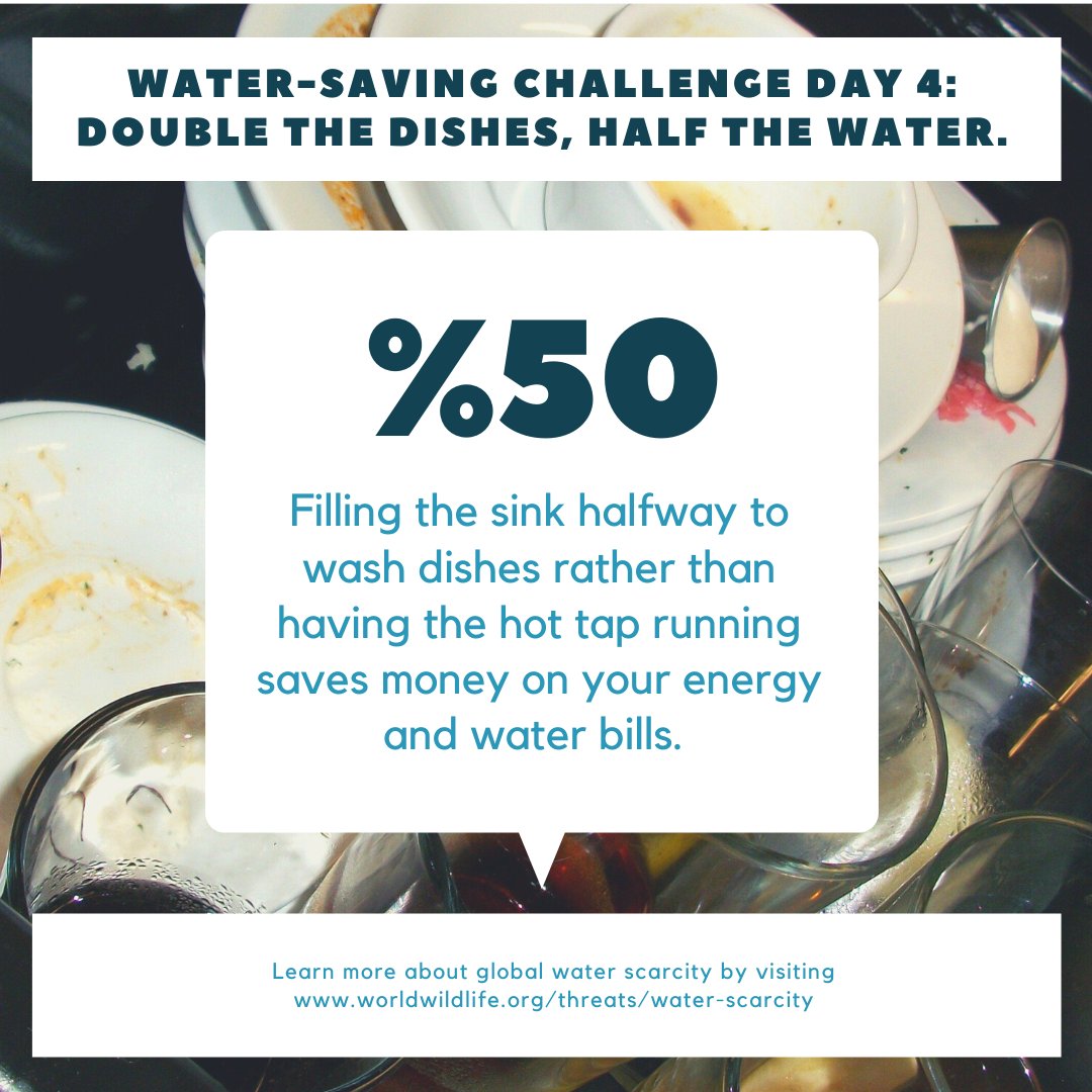 Climate First South Africa tweet media