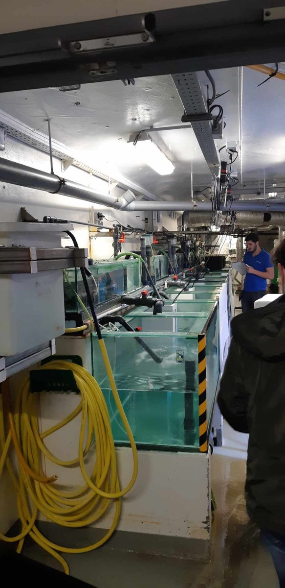 Comment faire de l #economiecirculaire avec les dechets plastiques ďun #Fablab ? Des étudiants @IngenieursECE travaillent sur un projet de #biominéralisation pour faciliter la croissance algale en collaboration avec l'#aquariumDeParis.