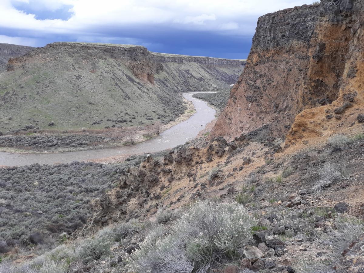 StepOutColorado tweet picture