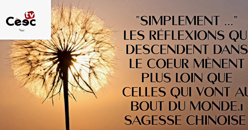 TvCeec's tweet photo. MOT DU JOUR 
JEUDI 18 MARS 2021
"Simplement ..." https://t.co/WMgSXY0pbi