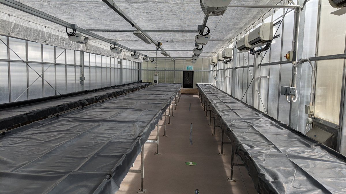 An empty greenhouse ready for plant trials to begin! 🌱

The team will be working with simple and native crops to assess the efficacy of fertiliser products derived from problematic seaweed biomass from Mexico! 🇬🇧🇲🇽

@ExeterMarine <a href="/PlymouthMarine/">Plymouth Marine Lab</a> <a href="/UniofBath/">University of Bath</a> <a href="/UABC_oficial/">UABC_oficial</a>