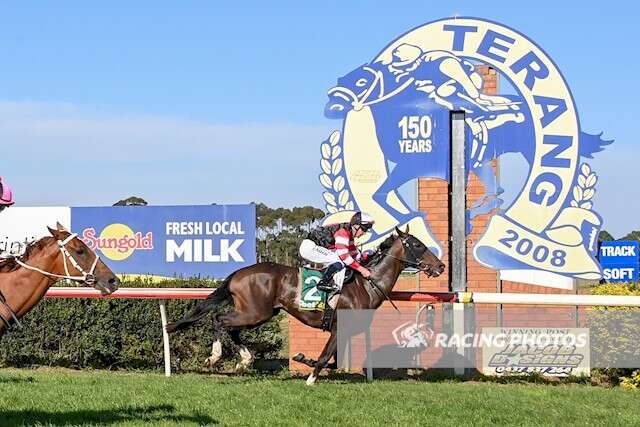 TBV (@vicbreeders) on Twitter photo With jockey <a href="/JohnnyA_24/">Johnny Allen</a> aboard, LORENTE won and gave trainers <a href="/cmaherracing/">Ciaron Maher Racing</a> a treble <a href="/TerangRacing/">Terang & District Racing Club</a> today. The son of <a href="/SunStudHQ/">SUN STUD</a> FIORENTE is a homebred for Victoria's Mr P Lowe. Congratulations! With jockey <a href="/JohnnyA_24/">Johnny Allen</a> aboard, LORENTE won and gave trainers <a href="/cmaherracing/">Ciaron Maher Racing</a> a treble <a href="/TerangRacing/">Terang & District Racing Club</a> today. The son of <a href="/SunStudHQ/">SUN STUD</a> FIORENTE is a homebred for Victoria's Mr P Lowe. Congratulations!