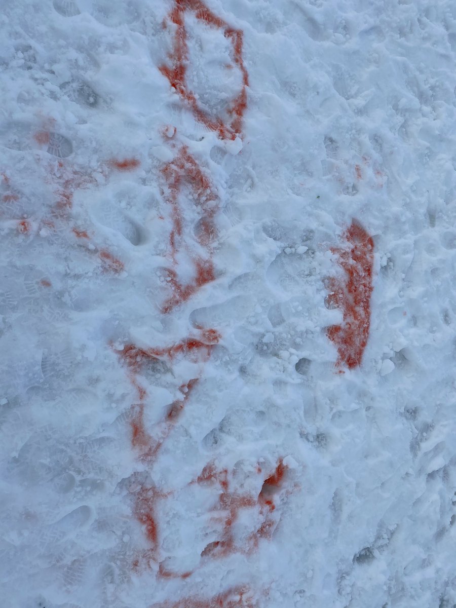 Rifjum upp tvívíð form, nýtum snjóinn og “málum” formin í hann með lituðu vatni <a href="/giljaskoli/">Giljaskóli</a> #menntaspjall