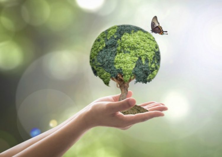 dolmo76's tweet image. Great talk and discussion about Sustainability in the NHS. Do you know your champion at work? Do you have one? Have a coffee with them or become one, and start the conversation to play your part. #SpringSymp21 ⁦@NNUH⁩ ⁦@EDNNUH⁩