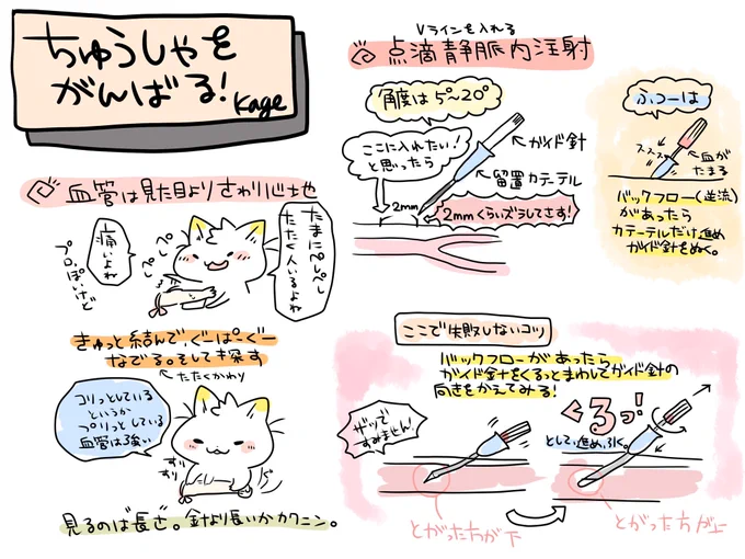 看護技術めも🐱
点滴の管抜きますよと患者さんに言うと「針じゃないの?」と言われる…点滴の針は針じゃなくて管が体に入っています。
失敗しないコツでガイド針をひっくりかえすというのを聞いてやってたんだけどこれ逆に回そうと頑張ってブレてしまうかもなのでいい血管探しと穿刺場所がたいせつ 