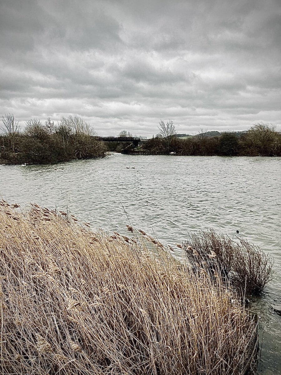 #attenborough nature reserve.
#windy #nottingham #PHOTOS #photooftheday