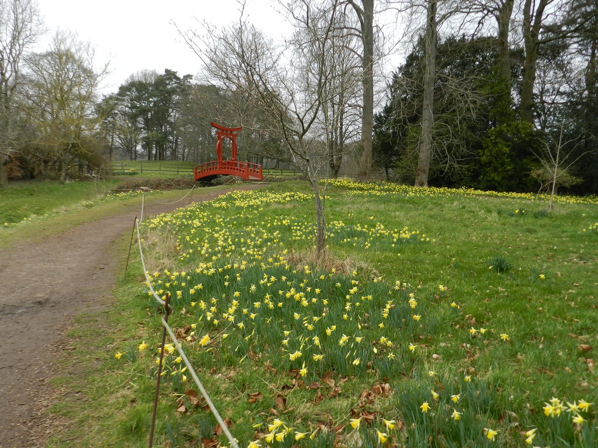 Springtime in the gardens @NTGreysCourt so enjoyed a walk through the gardens and estate yesterday