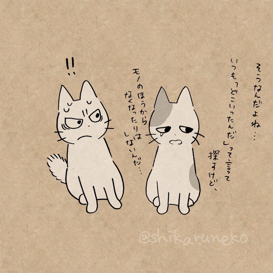 探し物が多い人と、しかるねこと… 