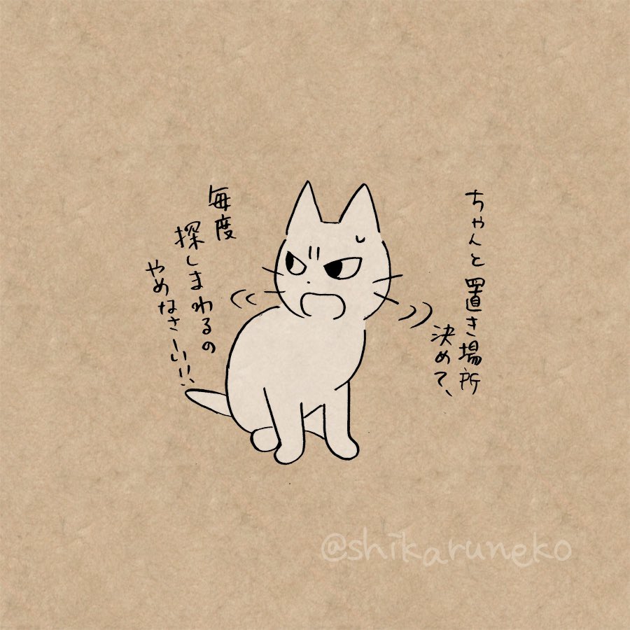 探し物が多い人と、しかるねこと… 