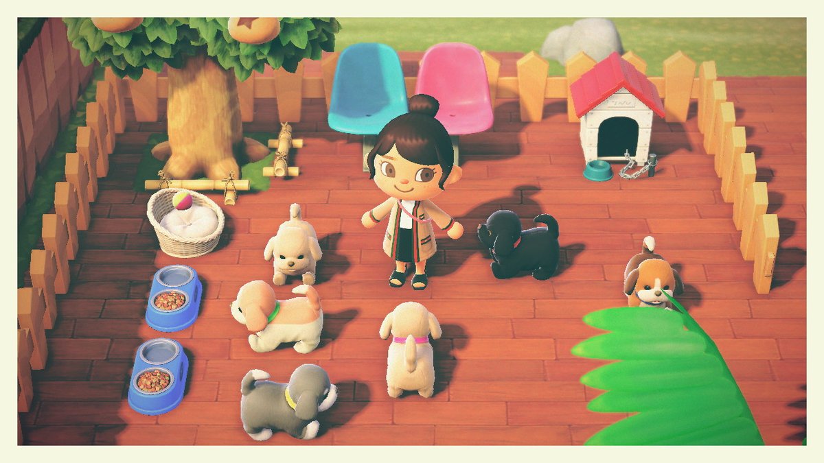 _auroracecilia's tweet photo. #AnimalCrossing #ACNH #NintendoSwitch https://t.co/52MuMSFC4D