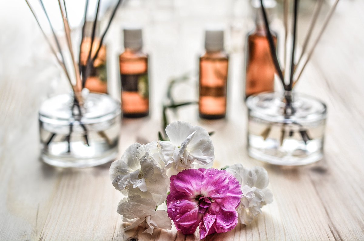 Formation Aromathérapie en ligne : Avis
zpr.io/RZbpy