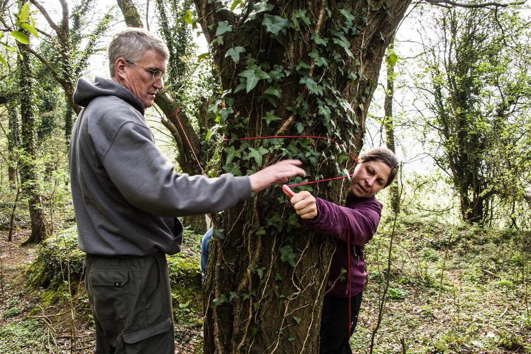 Go Wild Education Forest School tweet media
