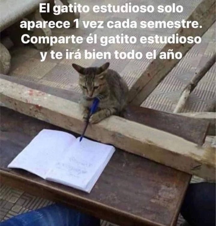 piña sin pizza tweet media
